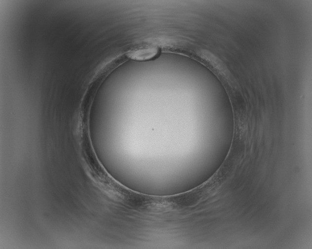 X0000073450583200607281223