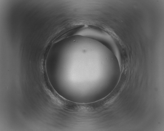 X0000073450585200607281223