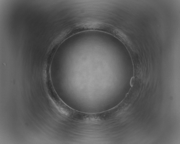 X0000073450586200607281223