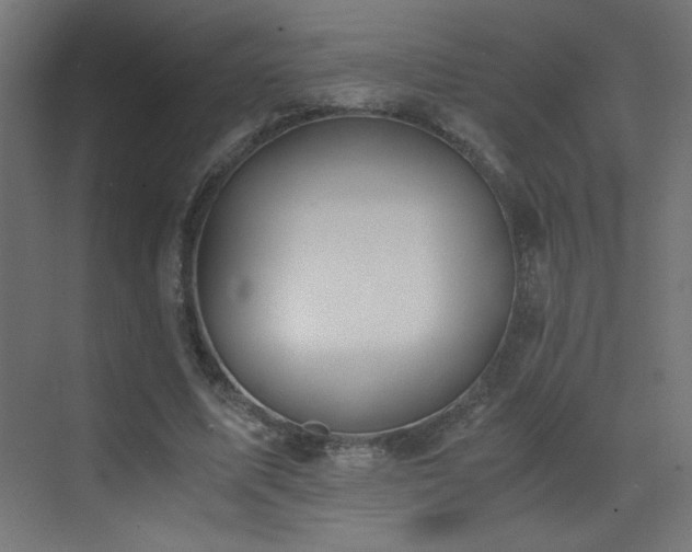 X0000073450587200607281223