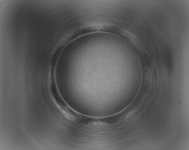 X0000073450590200607281223