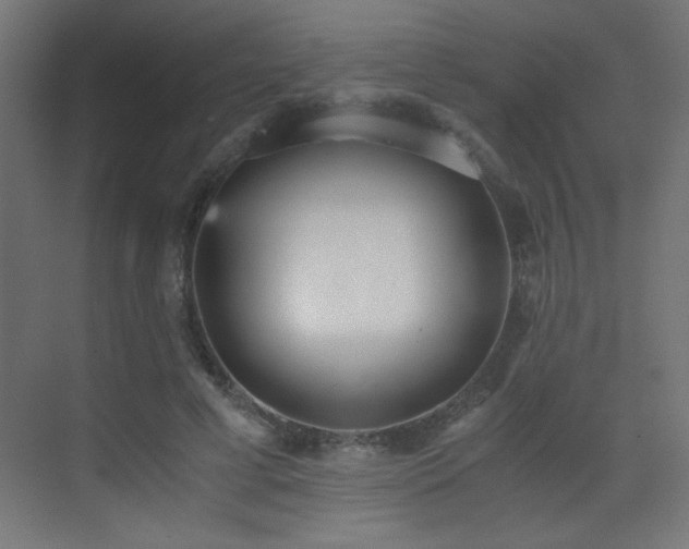 X0000073450593200607281223