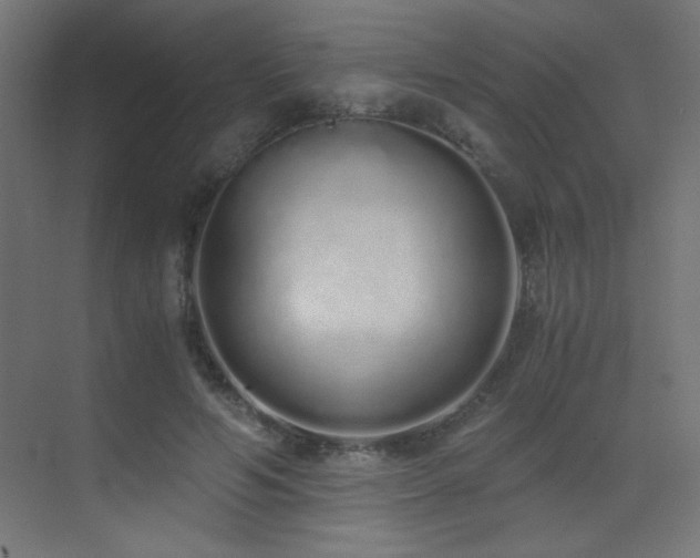 X0000073450594200607281223