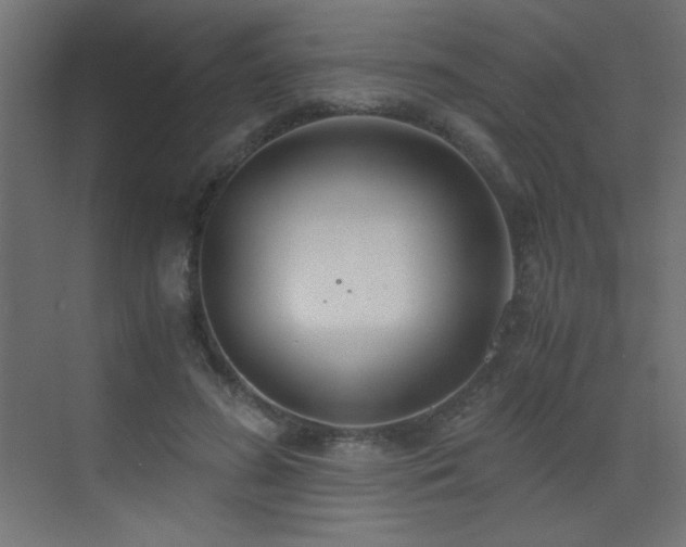 X0000073450596200607281223