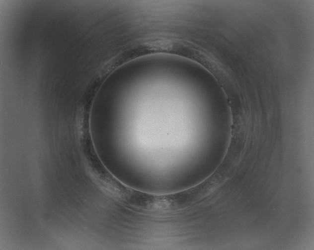 X0000073450600200607281223