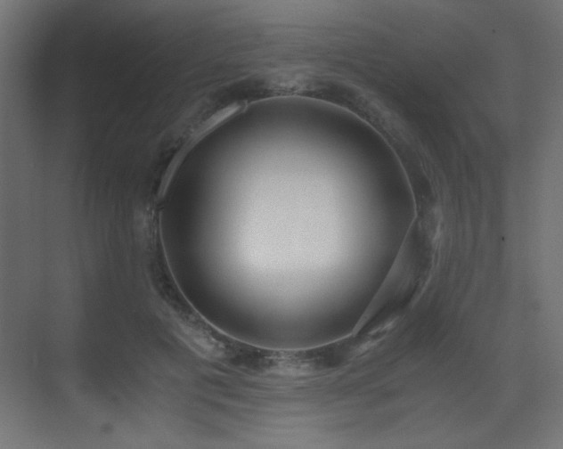 X0000073450601200607281223