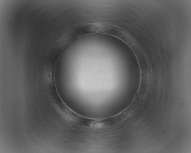 X0000073450602200607281223