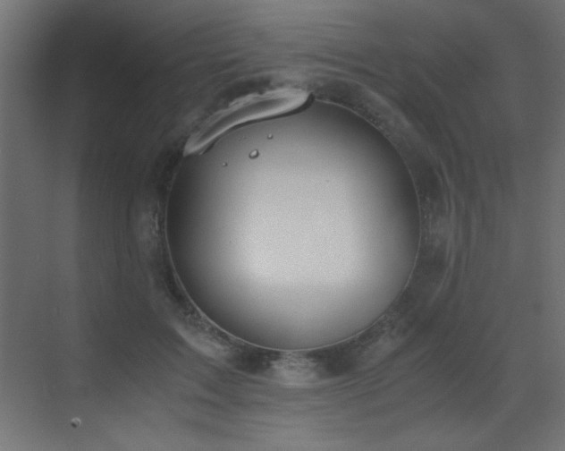 X0000073450603200607281223