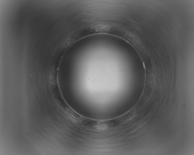 X0000073450604200607281223