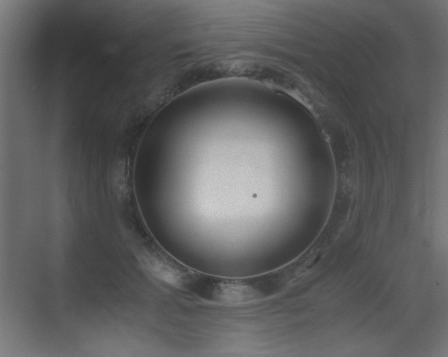 X0000073450605200607281223