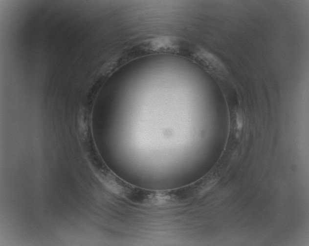 X0000073450607200607281223