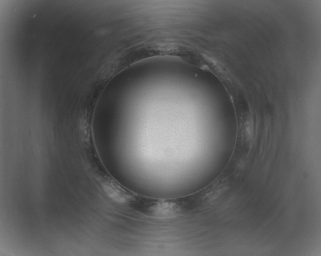 X0000073450609200607281223