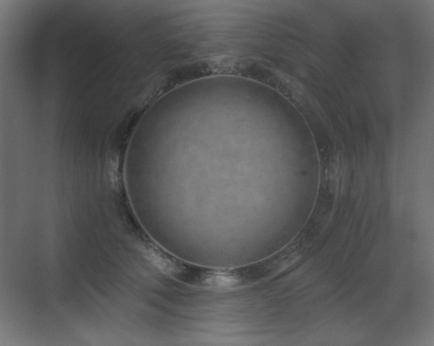 X0000073450610200607281223