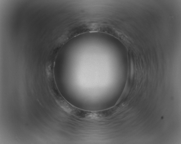 X0000073450611200607281223