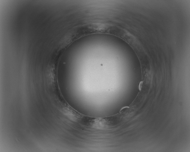 X0000073450612200607281223