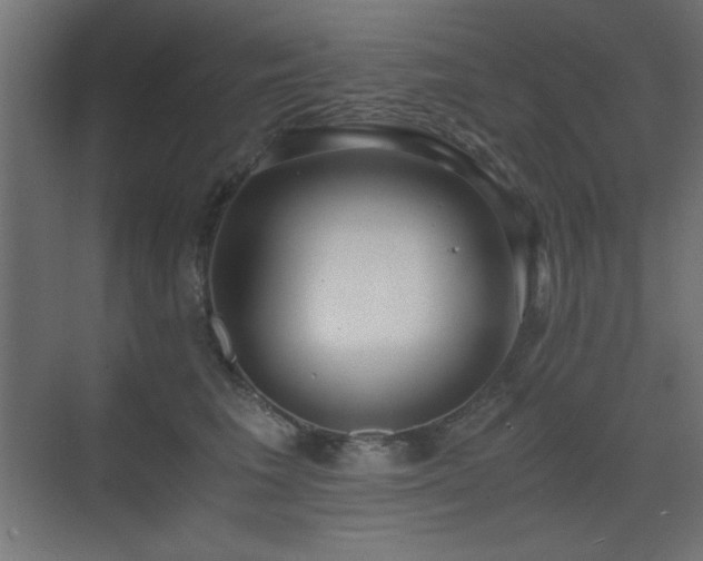 X0000073450613200607281223