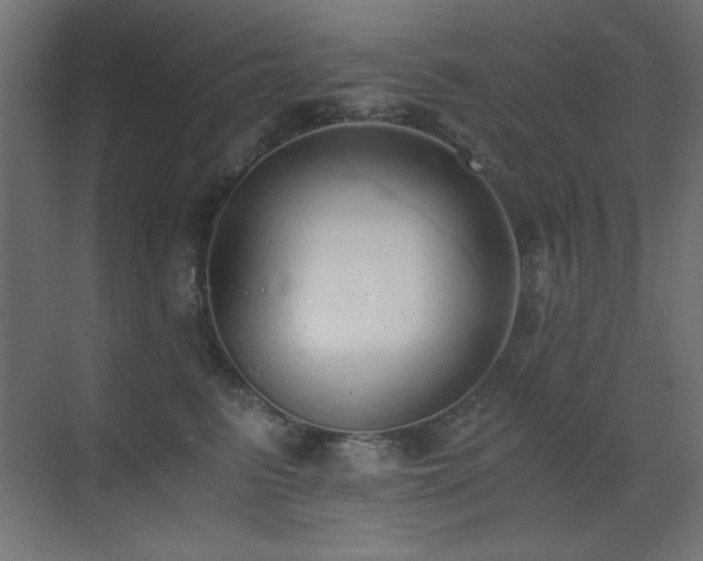 X0000073450615200607281223