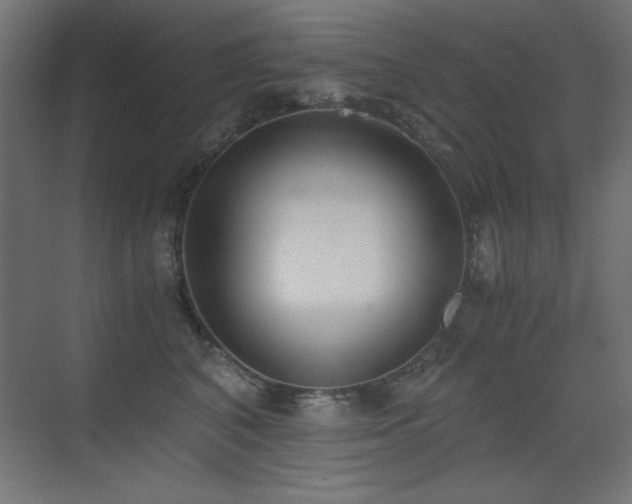 X0000073450616200607281223