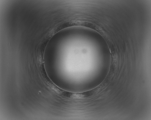 X0000073450617200607281222