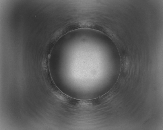 X0000073450619200607281222