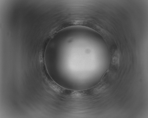 X0000073450620200607281222