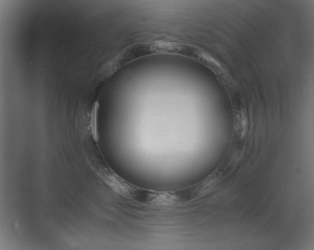 X0000073450621200607281222