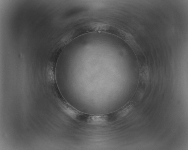 X0000073450622200607281222