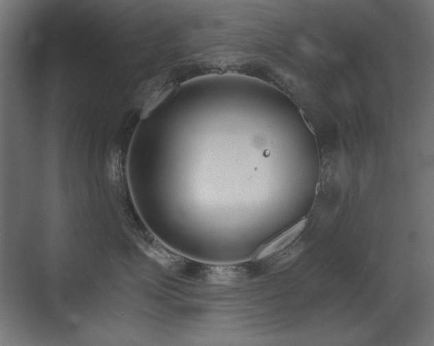 X0000073450623200607281222