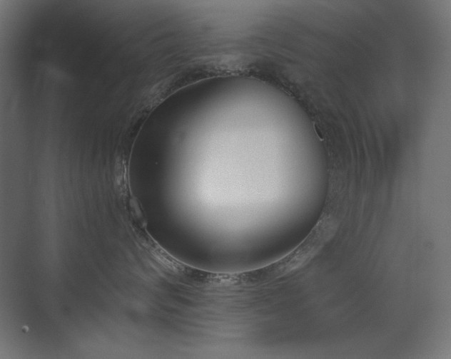 X0000073450624200607281222