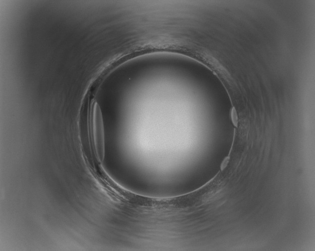 X0000073450626200607281222