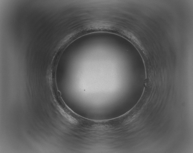 X0000073450629200607281222