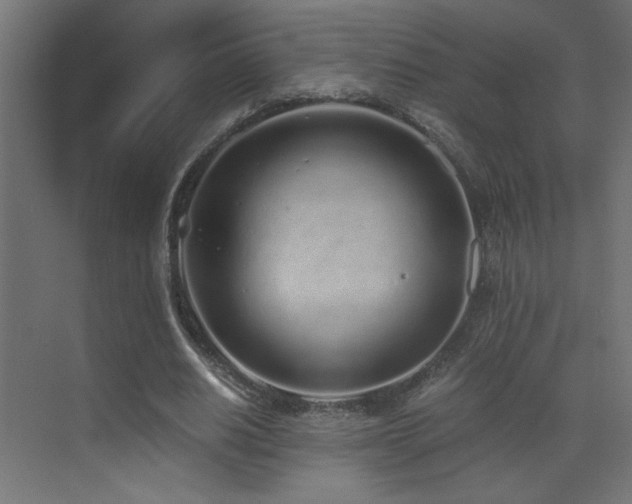 X0000073450630200607281222