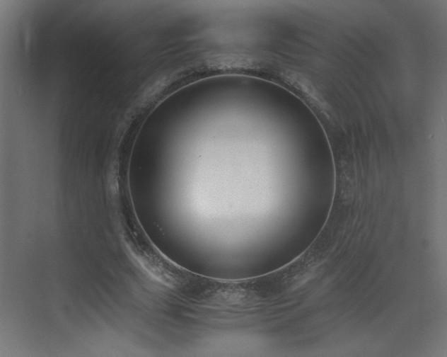 X0000073450631200607281222