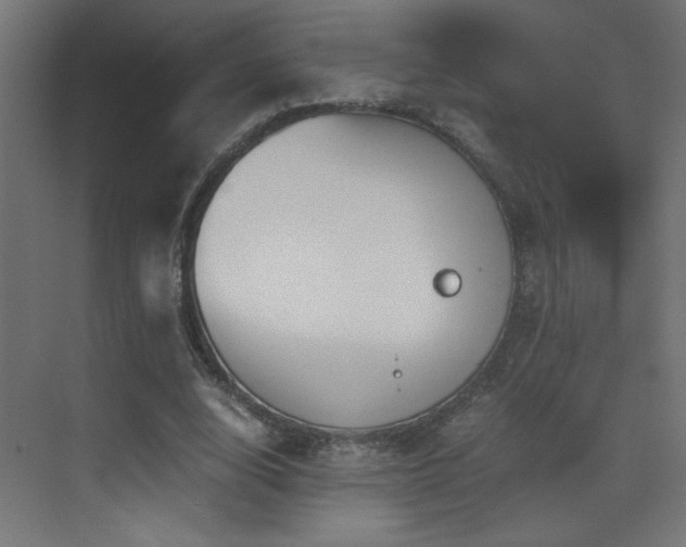 X0000073450632200607281222