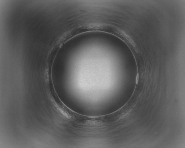 X0000073450633200607281222