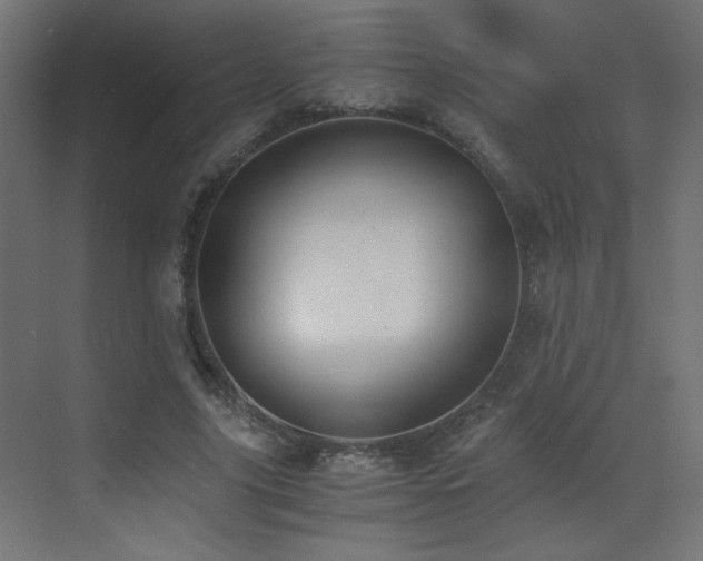 X0000073450635200607281222