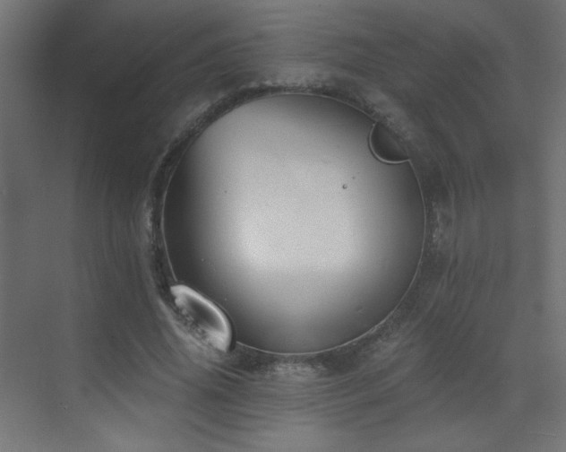 X0000073450636200607281222