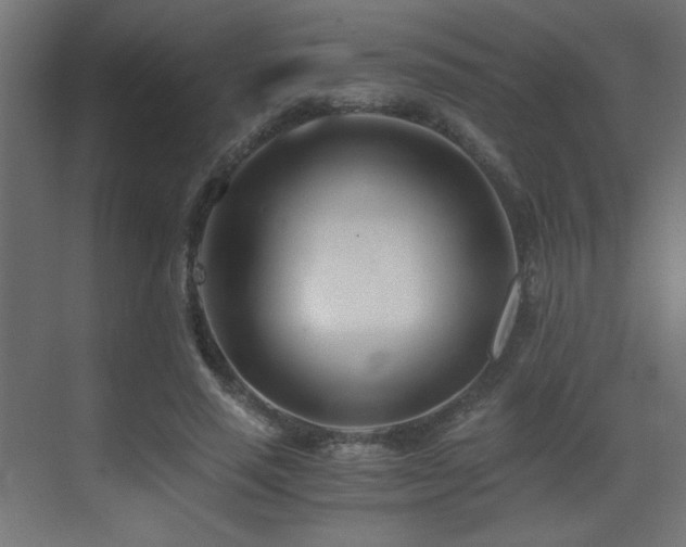 X0000073450637200607281222