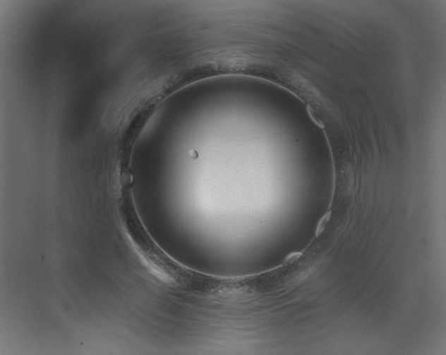 X0000073450638200607281222