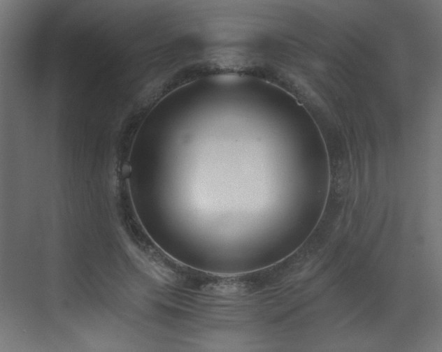 X0000073450639200607281222