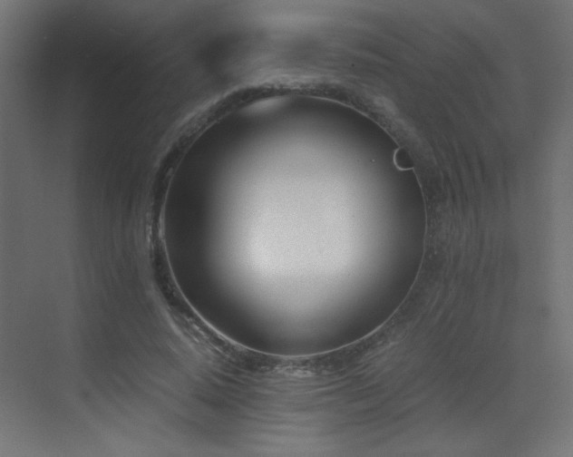 X0000073450640200607281222