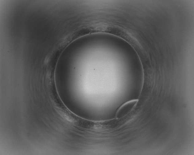 X0000073450641200607281222