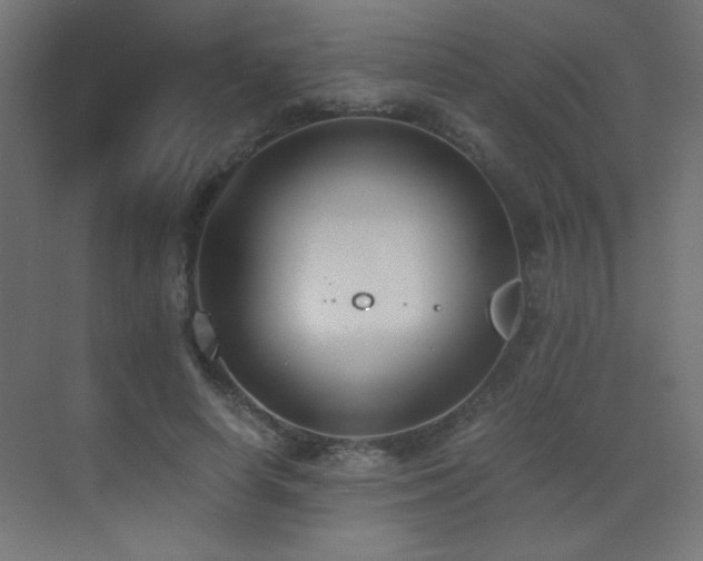 X0000073450642200607281222