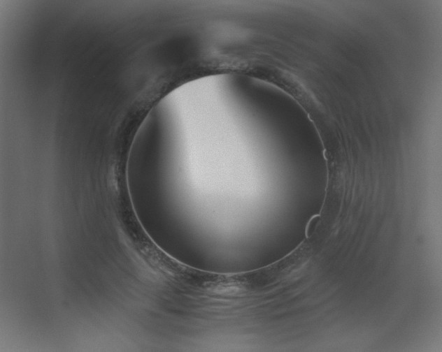 X0000073450643200607281222