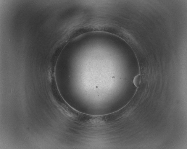 X0000073450644200607281222