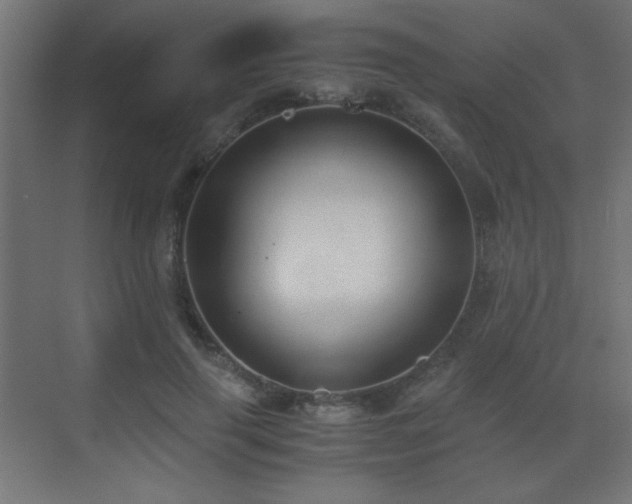 X0000073450645200607281222