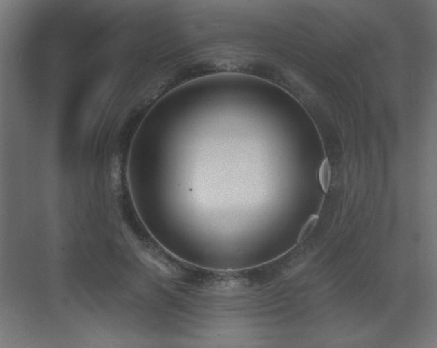 X0000073450646200607281222