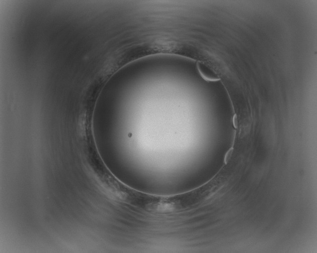 X0000073450647200607281222