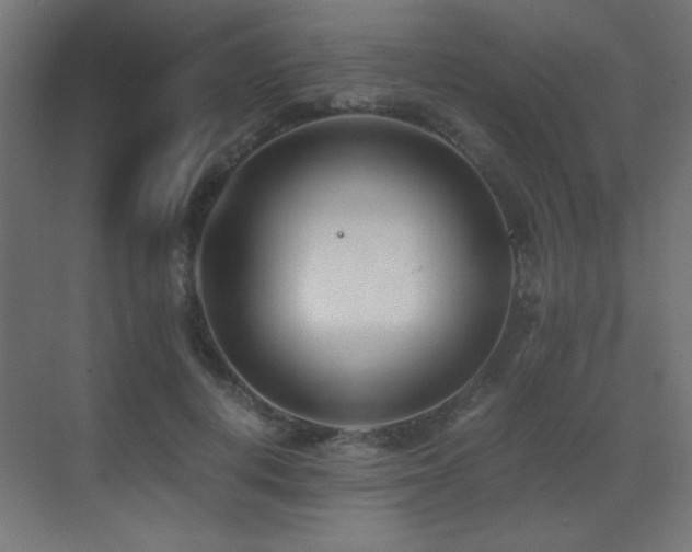 X0000073450648200607281222