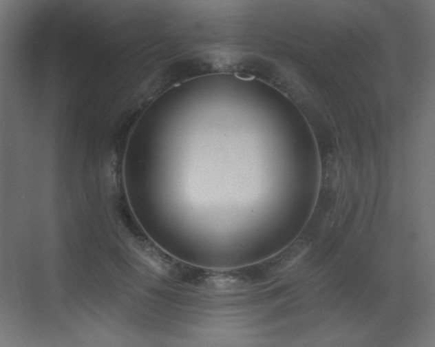 X0000073450650200607281222